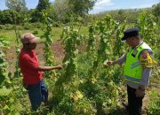 Pengecekan Ketahanan Pangan di Desa Karang Melati