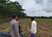 Pengecekan Ketahanan Pangan di Desa Margodadi Oleh Polsek Semendawai Suku III 