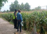 Pengecekan Ketahanan Pangan di Desa Margodadi