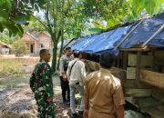 Pengecekan Ketahanan Pangan Jenis Ternak Kambing di Desa Burnai Mulya