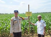 Pengecekan Ketahanan Pangan di Desa Sumber Rahayu