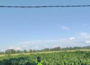 Pengecekan Ketahanan Pangan di Desa Nirwana