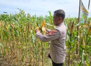 Pengecekan Ketahanan Pangan di Desa Karang Endah