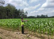 Polsek Belitang II Lakukan Giat Ketahanan Pangan di Desa Sukoharjo