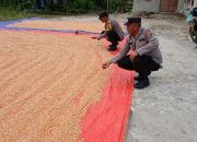 Kapolsek Buay Pemuka Peliung Arahkan Petani Jual Jagung ke BULOG, Dukung Ketahanan Pangan