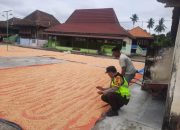 Kapolsek BP Peliung Arahkan Petani Jagung Jual Hasil Panen ke BULOG