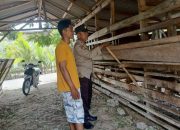 Polsek Belitang II Dukung Ketahanan Pangan dengan Pengecekan Peternakan Kambing