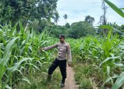 Kanit Bimas BP Peliung Dukung Program Pangan Nasional