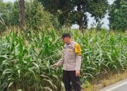 AIPDA Fedy Bhabinkamtibmas BP Peliung Dukung Program Pangan Nasional