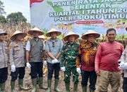 Panen Raya Jagung Serentak Kuartal 1 Tahun 2026: Polsek BP Peliung Polres OKU Timur Dukung Ketahanan Pangan