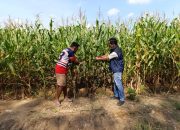 Aipda Agam Riyanto Dukung Ketahanan Pangan di Belitang II