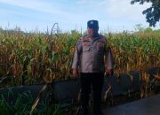 Bhabinkamtibmas BP Peliung Dukung Program Pangan Nasional di Desa Pulau Negara