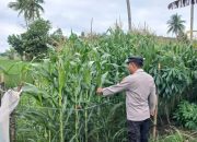 AIPDA DEDI DARMANTO Dukung Ketahanan Pangan di Trantang Sakti