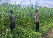 Aiptu Tandian Dukung Ketahanan Pangan di Budi Luhur